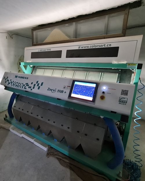 Grain Sorting